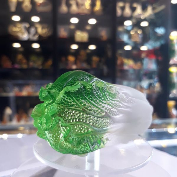 Bắp Cải Đá Lưu Ly