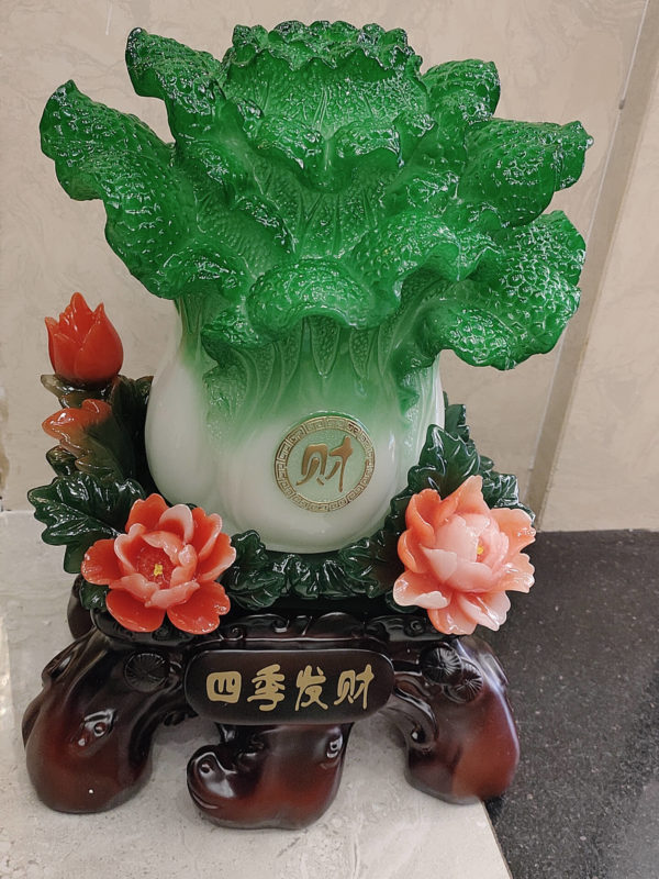 Bắp cải hoa mẫu đơn